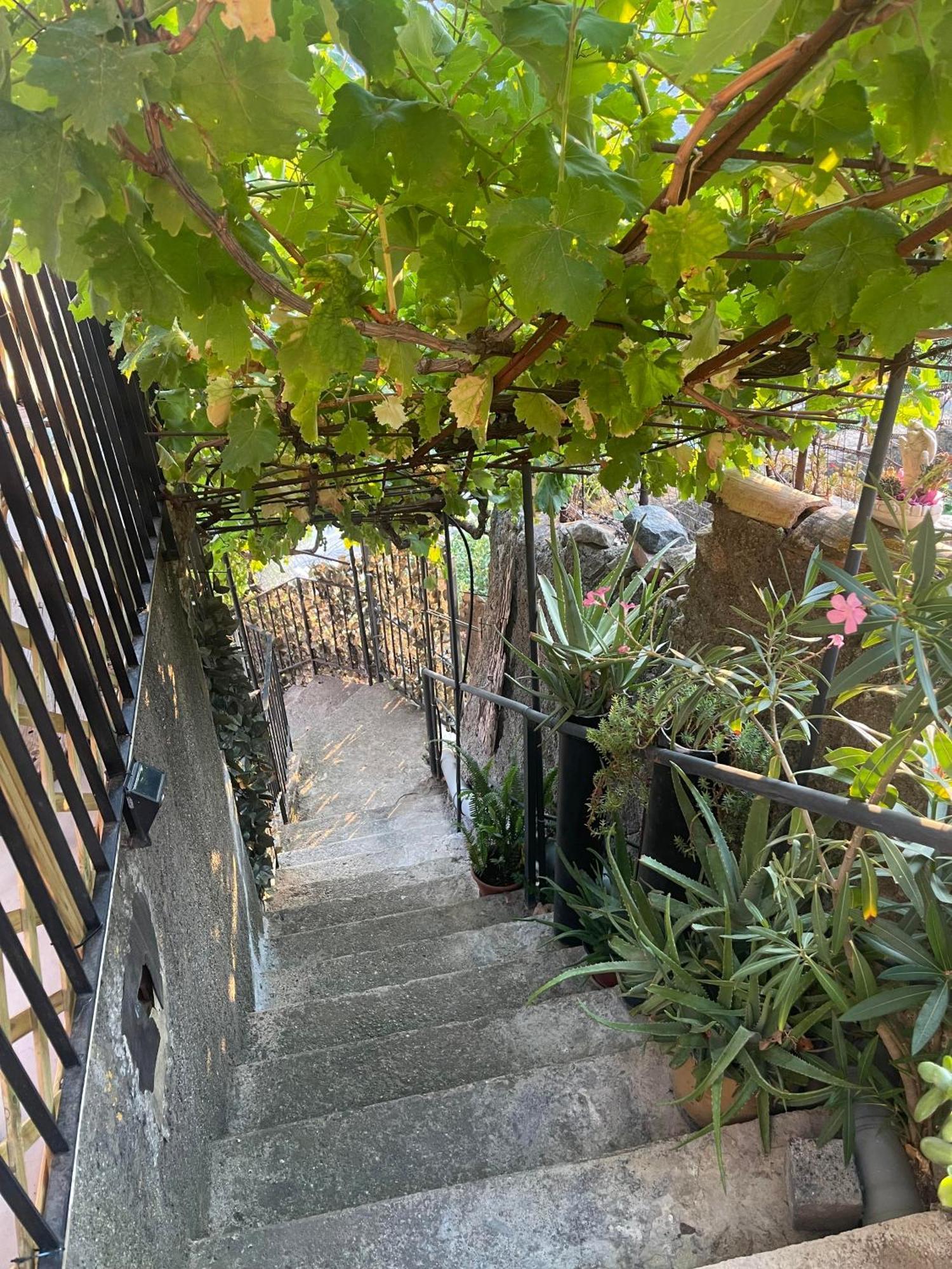 Villa The Secret Garden Forza dʼAgro Exterior foto